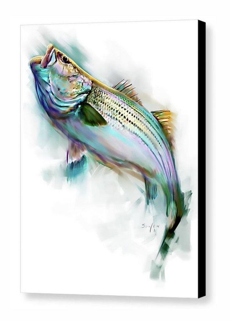 Striped Bass  Fish print, Striper fish, Striped bass